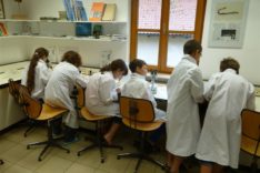 02_P1020021 (Medium)