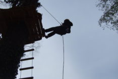 2008_1102(029)