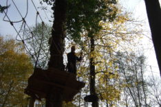 2008_1103(006)