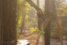 Coaching Bridge 3
