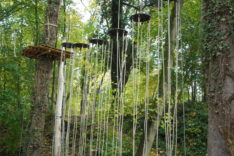Flying Steps 3