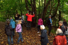 Geocaching 1