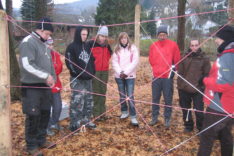 Spinnennetz