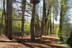 Hochseilgarten