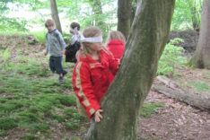 Umweltbildung_Wald